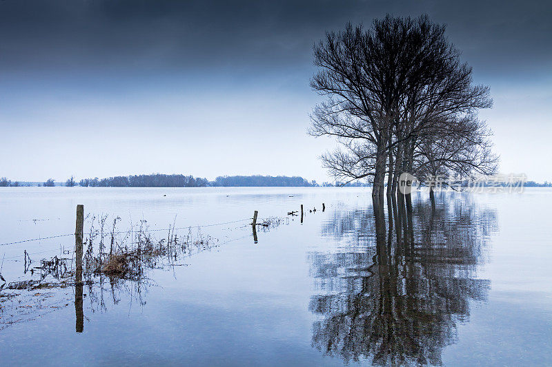 冬季的洪水在哈维尔河- Winterhochwasser